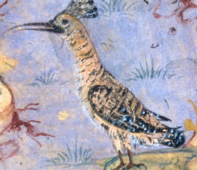 Folio 11r from a Mantiq al-tair (Language of the Birds) by Habiballah of Sava (active ca. 1590–1610) detail